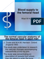 blood_supply