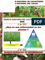 MANEJO SANITARIO CACAO Curso Virtual PDF