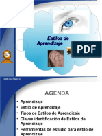 Estilosdeaprendizaje 101207104419 Phpapp02