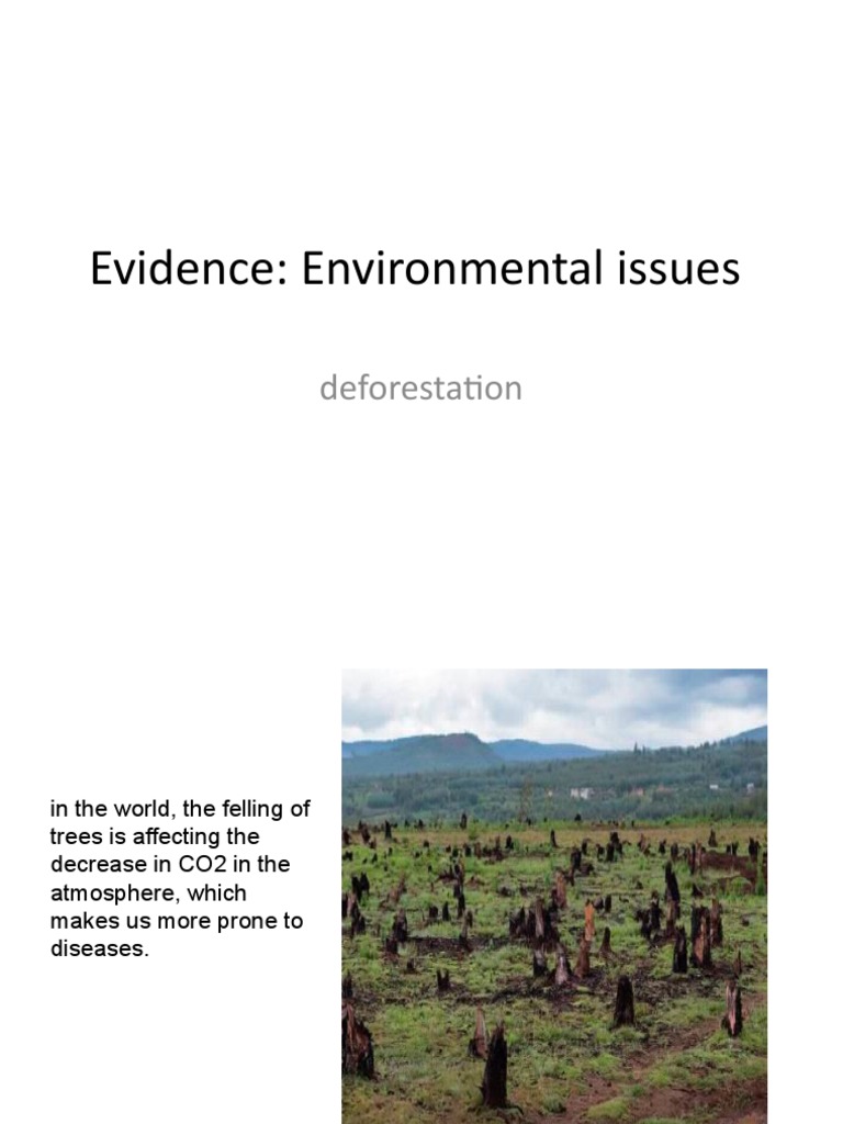 Deforestation and Its Global Impact | PDF | Science & Mathematics