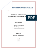 Organizador Visual PDF