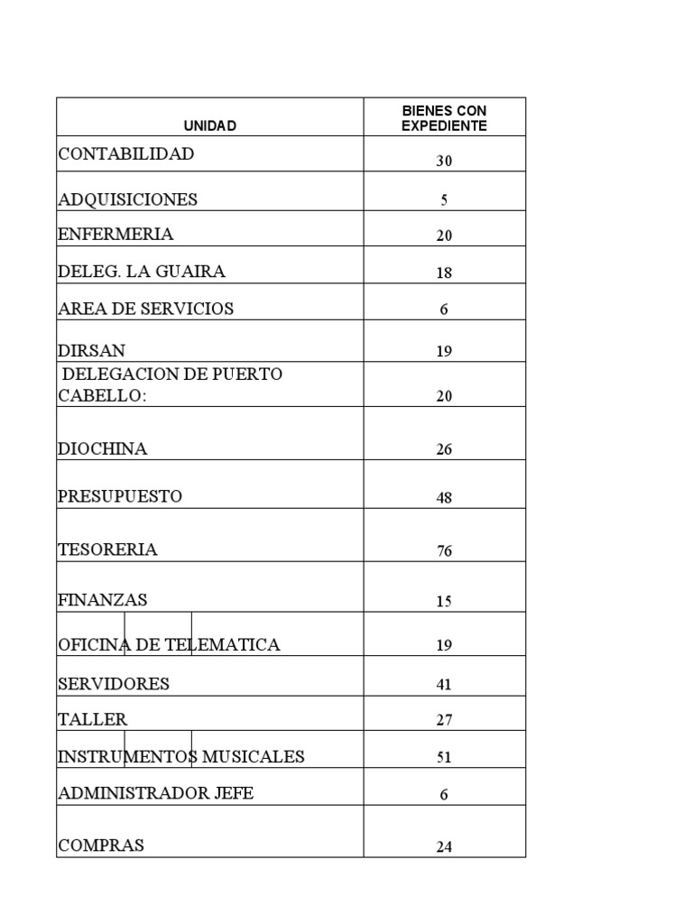 Balance Contable de Bienes OCHINA | PDF | Computación personal