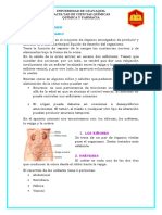 Resumen de La Orina Fisico Quimico y Microscopico