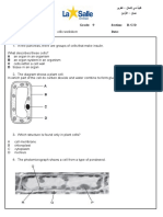 MCQ Cells