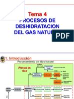 Procesos de deshidratación del gas natural