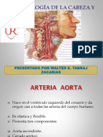 Angiologia PDF