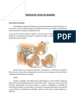 artroplastia-total-quadril-orientacoes