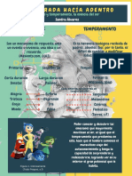 Infografia Definitiva