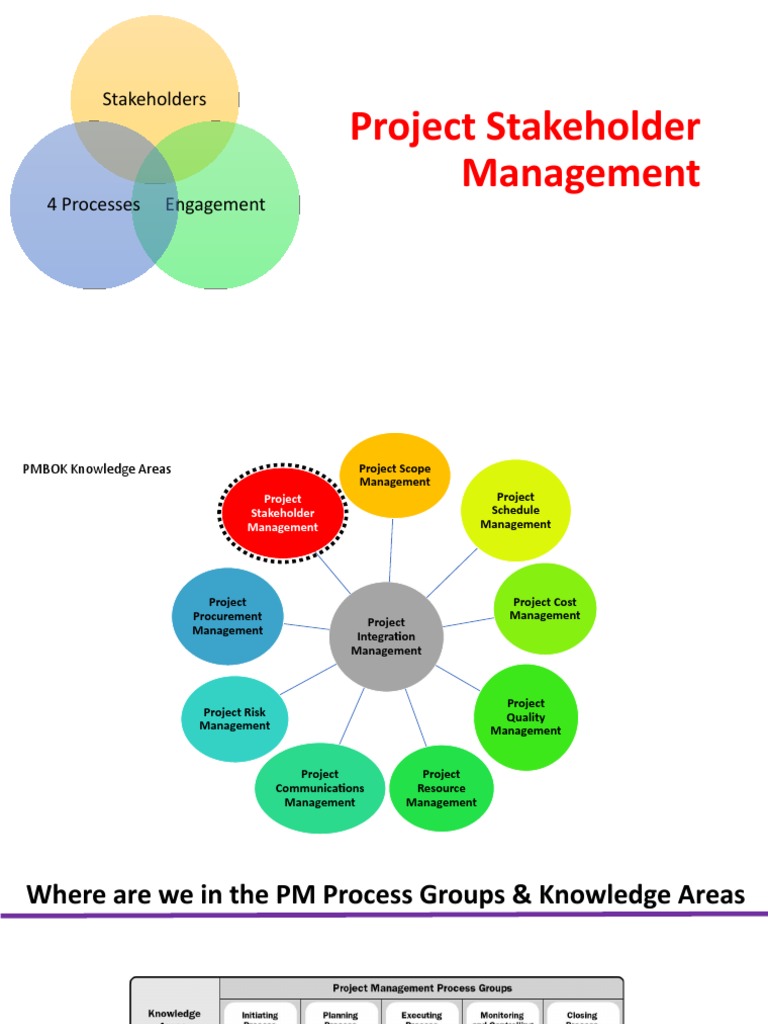 Project Stakeholder Management: Stakeholders | PDF | Project Management ...