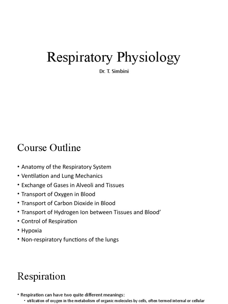 Respiratory Physiology Course Overview | PDF | Respiratory Tract ...