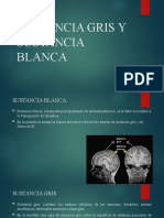 Sustancia Gris y Sustancia Blanca