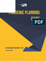 API PandemicGuide PDF