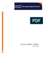 Neuropsicologia Por Lucia Torres UAPA Tarea Semana 5