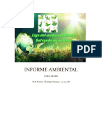 Informe_Ambiental_Yady