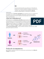 Testosterona