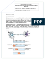 Biologia 11