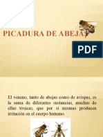 Presentación Picadura de Abeja