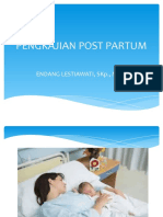 Pengkajian Post Partum