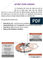 Cancer y puntos de control.pdf