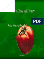 Polilla del tomate: Plaga clave y métodos de control