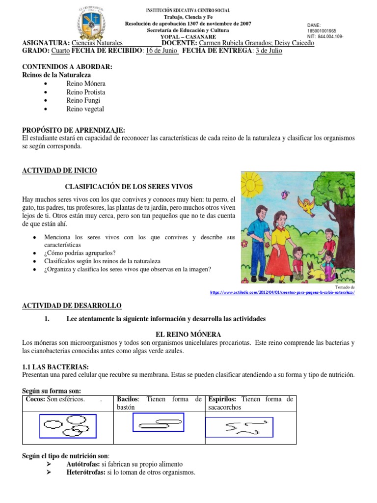 5310 - Guia N 3 Grado 4 Reino Monera Protista Hongo Vegetal 2 | PDF | Algas  | Plantas