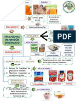 Almidon Modificado PDF
