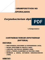 Corynebacterium Lida