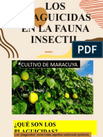 Efectos de Los Plaguicidas en La Fauna Insectil