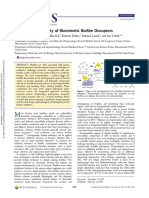 Biofilm Disruptor Synthesis