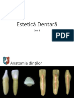 03_Curs Estetica3 oct. 2019.pdf