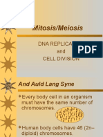 Mitosis/Meiosis: Dna Replication and Cell Division