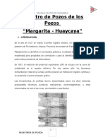 262769688-Registro-de-Pozos-de-Los-Pozos-Margarita-y-Huaycaya-Informe.pdf