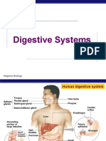 Digestive Systems: Regents Biology