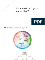 How Is The Menstrual Cycle Controlled