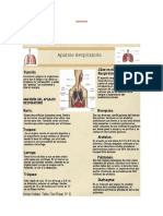 Anatomía.docx