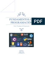 Tema 3.pdf