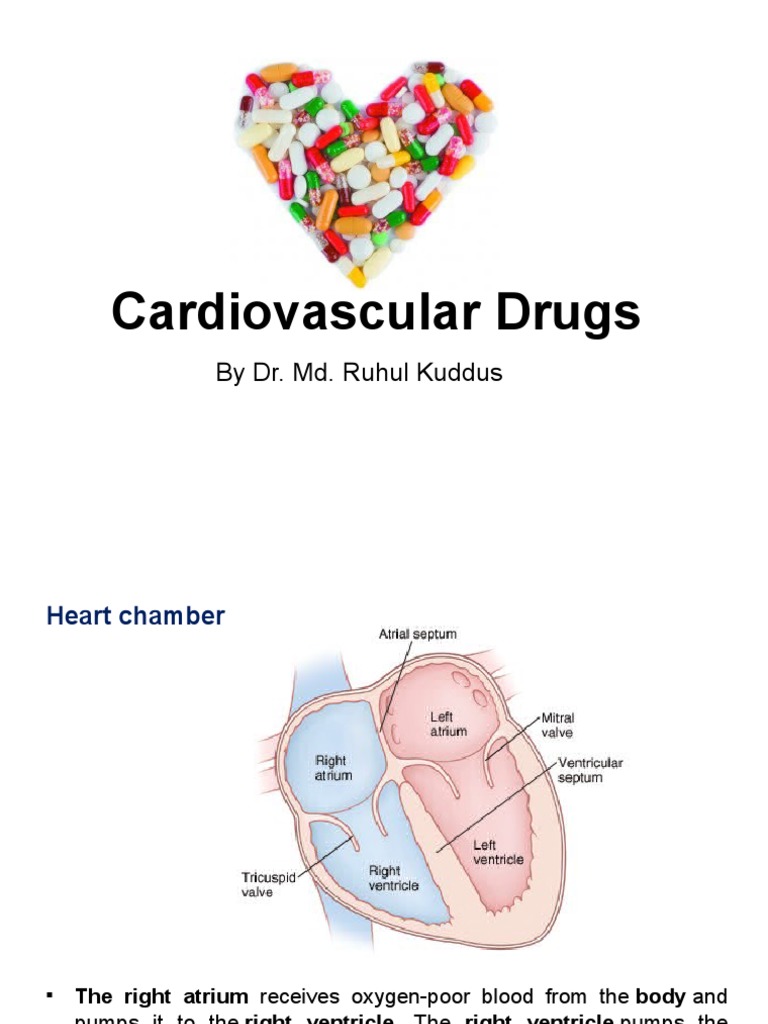 Overview of Cardiovascular Drugs | PDF | Heart Valve | Heart
