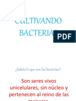 experimentobacterias-140930024310-phpapp02