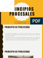 Principios Procesales