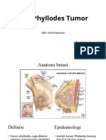 Phyllodes Tumor