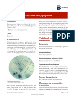 Srteptococcus Pyogenes - Año 2019