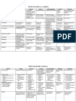 Musculos de la Cabrza y Cuello Cuadro