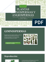 Plantas Gimnospermas y Angiospermas