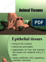 Bio3: Animal Tissues