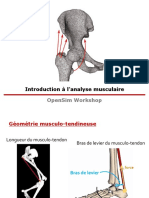 7 - Muscle - Analysis - French PDF