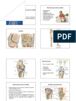 Biomecanica de La Rodilla