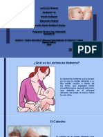 Exposicion Lactancia Materna