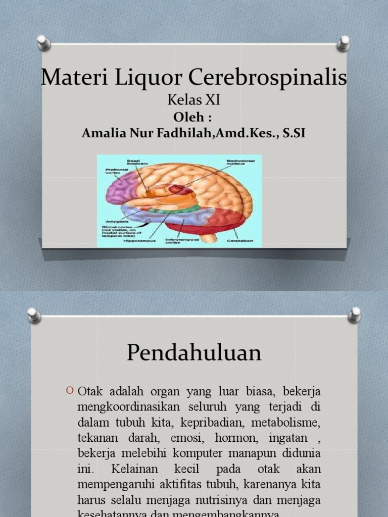 Materi Liquor Cerebrospinalis PDF