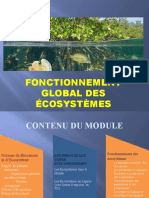 Fonctionnement Global Des Écosystèmes