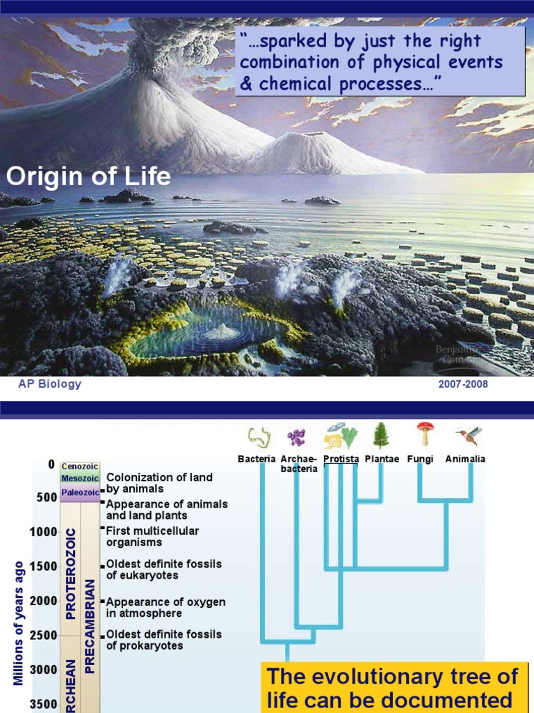 Origin of Life and Evolution Overview | PDF | Eukaryotes | Mitochondrion